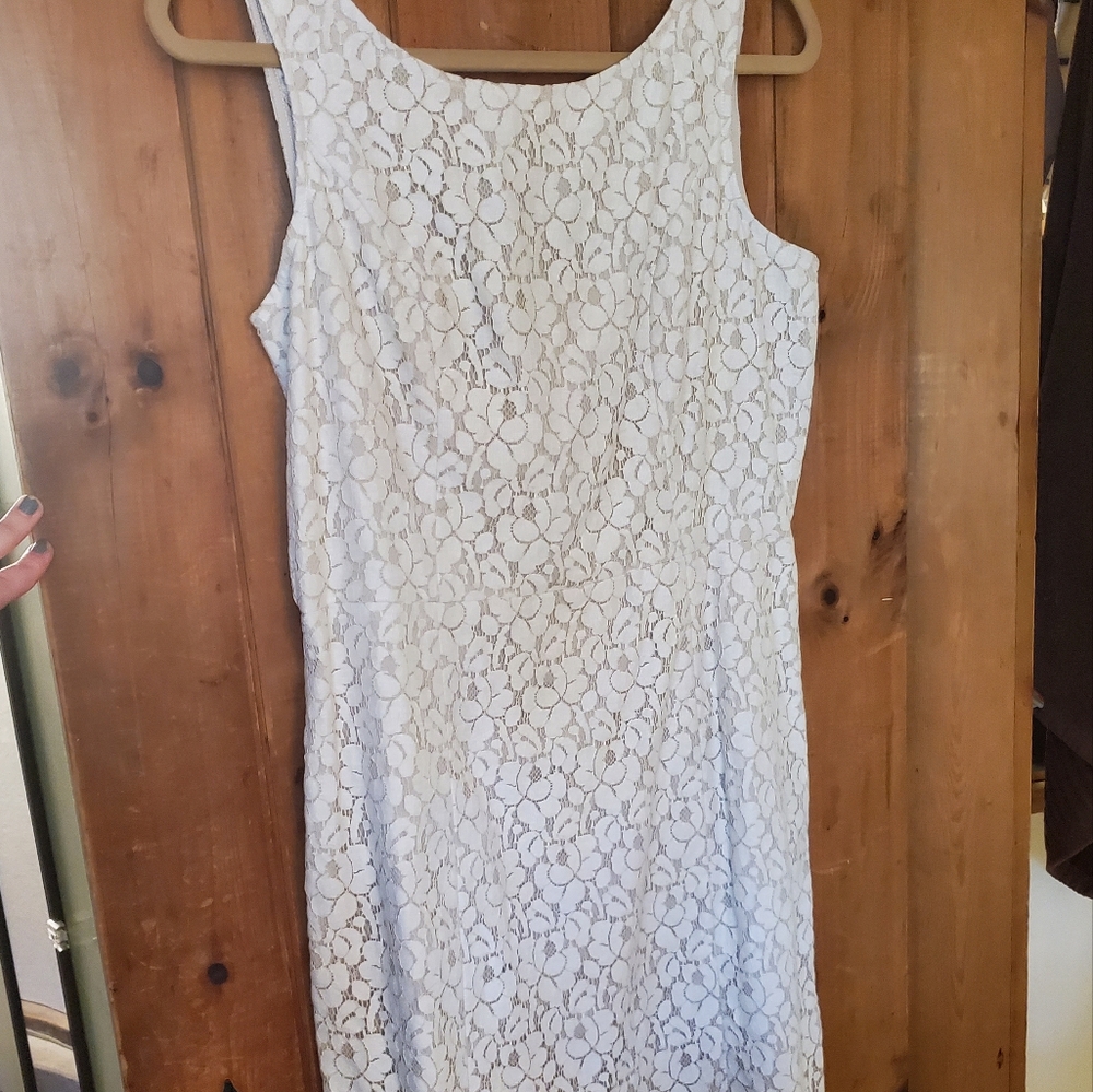 NWT White House Black Market Ivory Dress